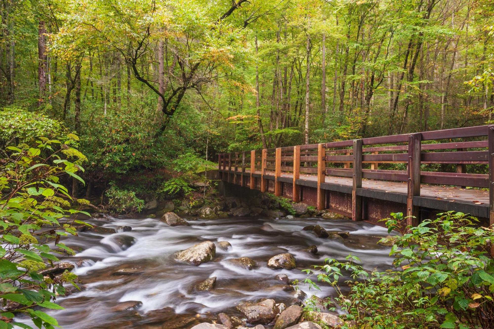 Time To Cuddle, Wifi, Near Pigeon Forge, 1089 Free Tickets Each Paid Day, Dollywood And More Екстериор снимка