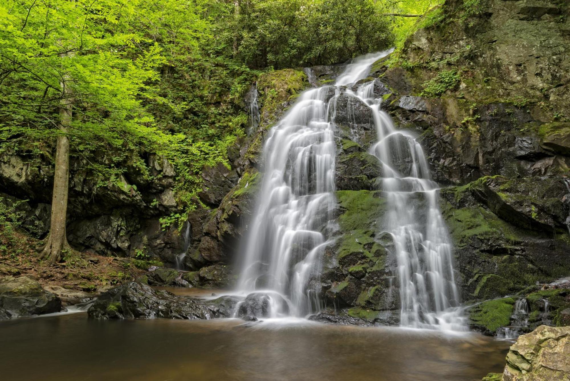 Time To Cuddle, Wifi, Near Pigeon Forge, 1089 Free Tickets Each Paid Day, Dollywood And More Екстериор снимка